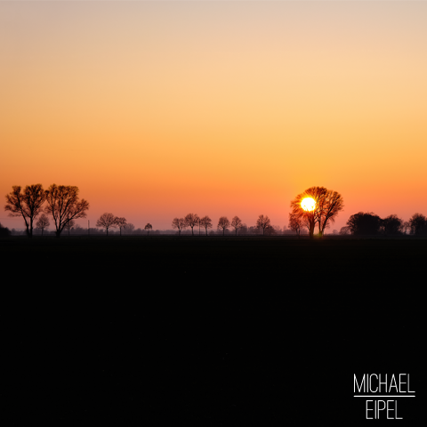 Sonnenuntergang mit Silhouette der Bäume – Landschaftsfotografie