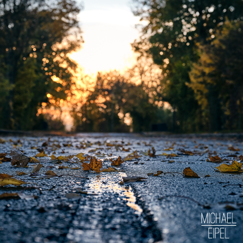 Blätter im Herbst auf der Straße – Landschaftsfotografie