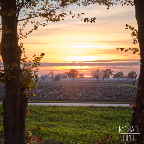 Herbstlicher Sonnenuntergang – Landschaftsfotografie