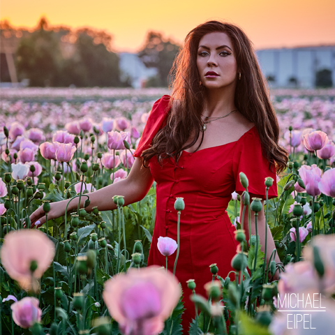 Julia im Mohnfeld im Sonnenuntergang – Portrait