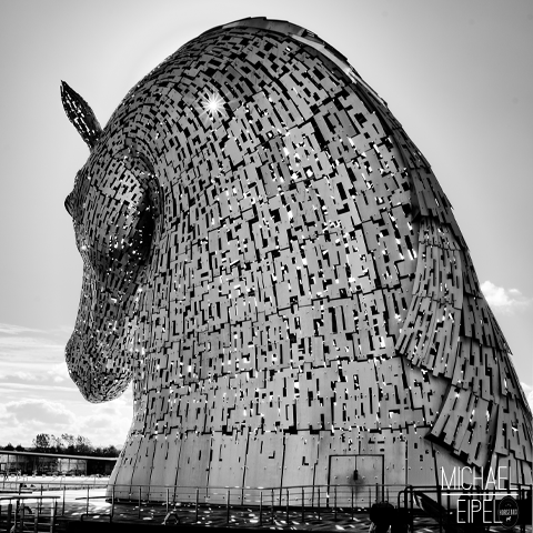 Kelpie – Black & White – Schottland