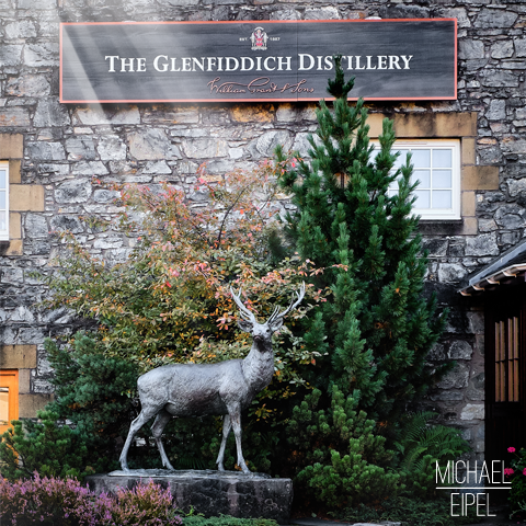 The Glenfiddich destillery deer – Scotland